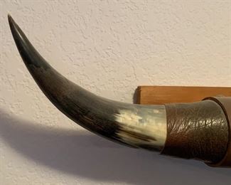 29in Steer Horns		
