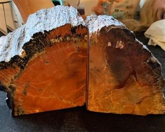 Petrified Wood Bookends		
