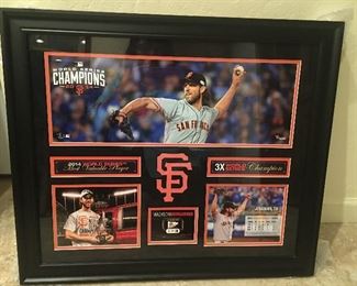 Giants 2014 World Series Champions Madison Baumgarner Collage with piece of gameused baseball