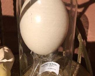 Ostrich egg in glass $15