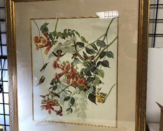 https://www.ebay.com/itm/124180868617 LAN9822: XL Framed Humming Bird Print $20.00