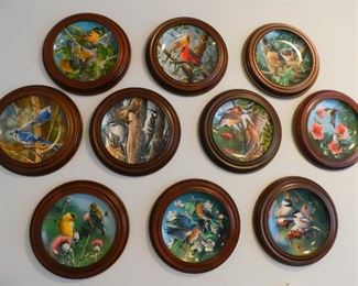 Set of 10 framed Knowles  "Birds of Your Garden" collection