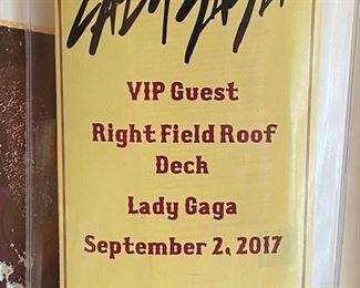 Lady Gaga concert VIP pass