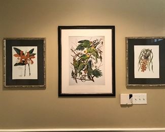 Framed Audubon bird print $150.00 Antique floral prints $100.00 each