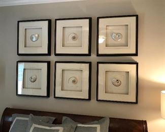 Framed nautilus shells $150.00 each.                                        FOUR (4) OF THESE LEFT