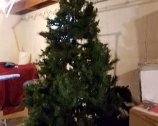 large Christmas tree