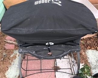 2019 Weber
