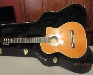 ESTEBAN'S Grenada - Model G-100 w/ hard case.  Acoustic Electric Guitar.