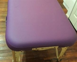 Purple Earthlite Massage Table https://ctbids.com/#!/description/share/311736