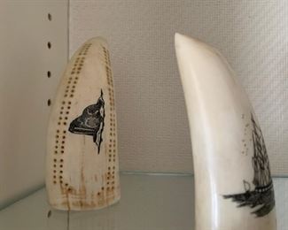 Walrus tusk scrimshaw