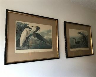 AUDUBON PRINTS