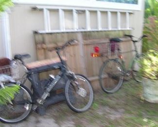 extension ladder and bicycles plus wood fence