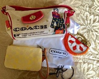 Coach pouches and more