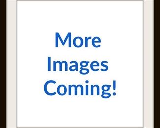 More Images Coming
