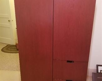 Office Cabinet/Closet