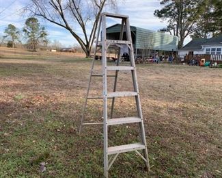 6ft Metal Ladder