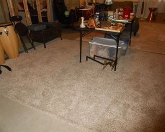 8' X 10' (3-year old) 3" shag area rug