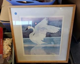 Signed Swan Watercolor framed & matted