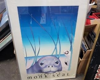 Framed Monk Seal Poster (broken glass at bottom)