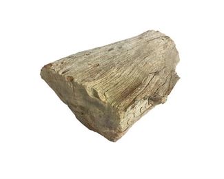 Petrified Wood