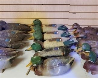 Duck Decoys