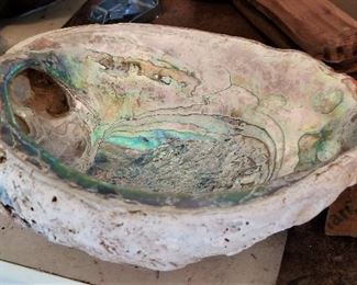 Lots of shells throughout the home