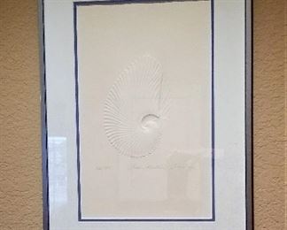 Paper shell sculpture framed artwork
