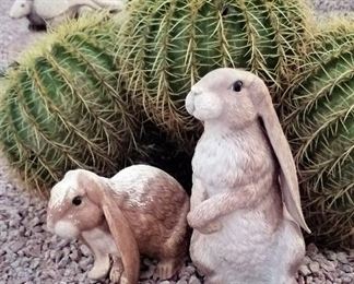 Outdoor rabbits