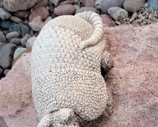 Armadillo for sale