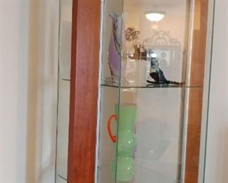 Glass lighted display case.  There are 2 available
