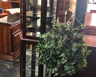 Small Mahogany Lighted Curio Cabinet