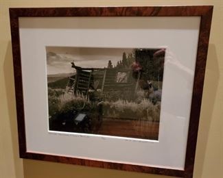 Framed Print