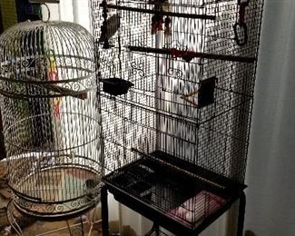 Bird Cages