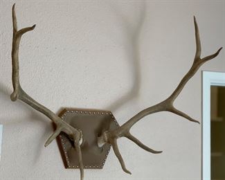 Deer Antlers Mount	33x38x16	HxWxD
