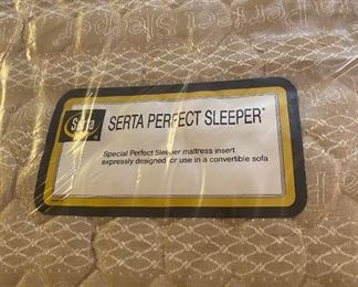 Serta Perfect Sleeper Sofa