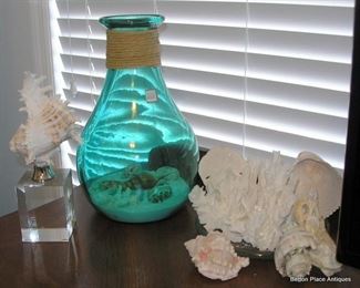 Shells, Coral and Jar