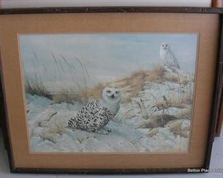 Charles Frace Print  Snowy Owls 1978 Print