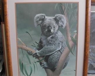 Charles Frace Print  Koala 1979 