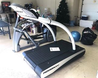 Woodway Treadmill Model DESMO_EVO..