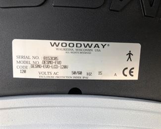 Woodway Treadmill Model DESMO_EVO..