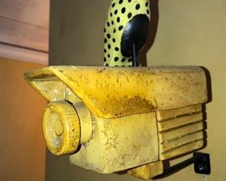 “Bird On A Wire” by Iggy Samnik