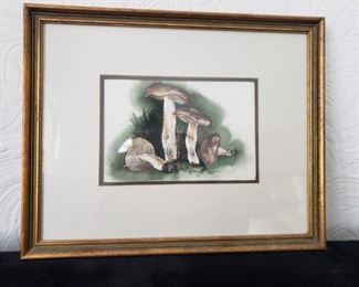 Mushrooms Drawing/Watercolor by Carl Verburgt, AWS https://ctbids.com/#!/description/share/320236