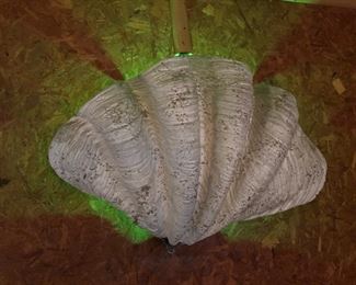 Shell lights (3 total though only 1 is photographed)