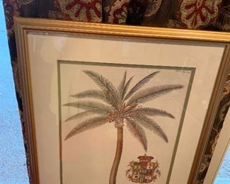 This framed graphic art print is a reproduction of a vintage 18th-century botanical illustration. It is inscribed with a seal that states “To Her Royal Highness Princess of Wales This Plate is most humbly Inscribed”. $60