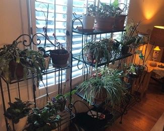 Plants and Bakers Racks - Plant Shelves 