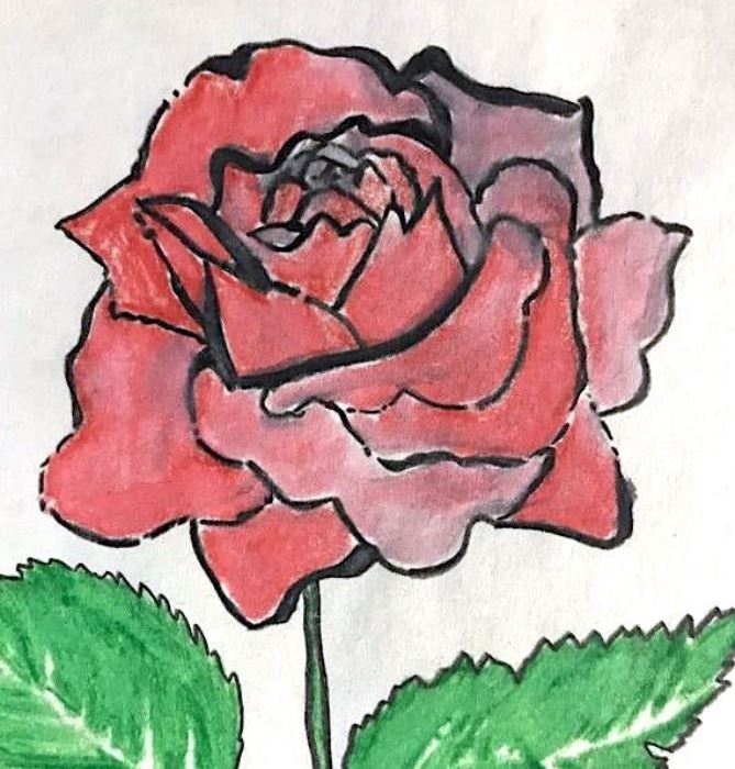 Rose Drawing On Paper After Andy Warhol
