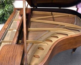 VIEW 5 INSIDE BABY GRANDE CHICKERING PIANO