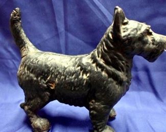 DSC 0491 Large Web view