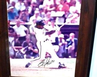 DSC 0660 Large Web view