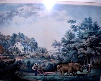 DSC 0836 Large Web view Large Web view